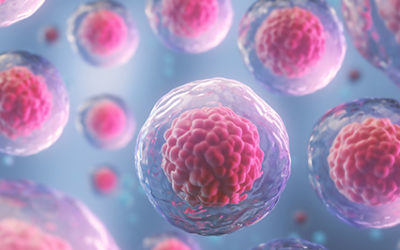 Stem Cells: Celulas madre.